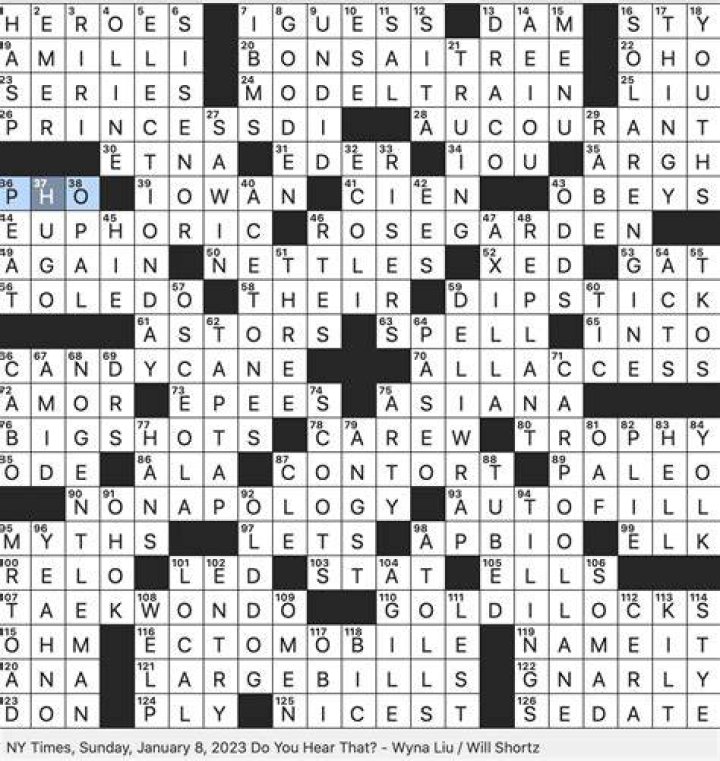 2007 Lil Wayne song that opens “Young Money! You dig?” Crossword Clue