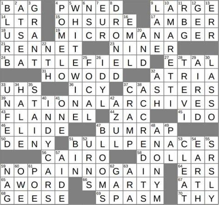Agcy. making lax regs Crossword Clue