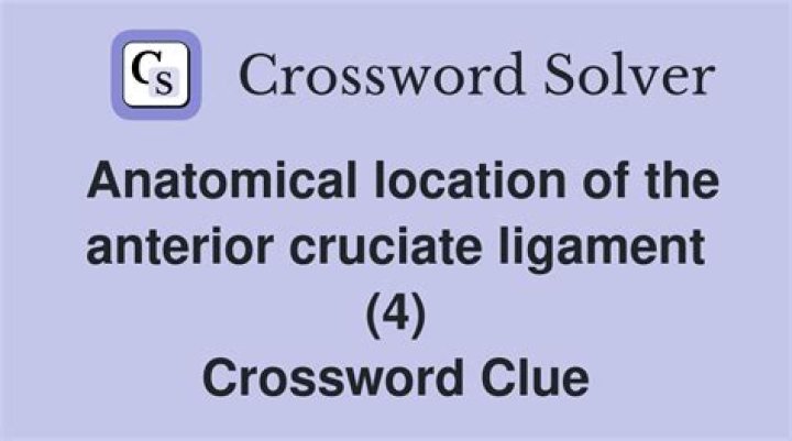 Anatomical canal locale Crossword Clue