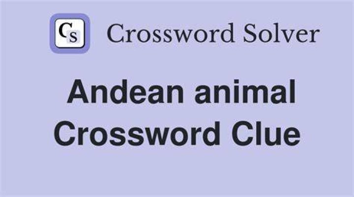 Andean herd animal Crossword Clue