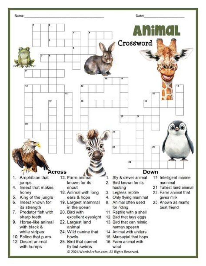 Animals in hibernación Crossword Clue