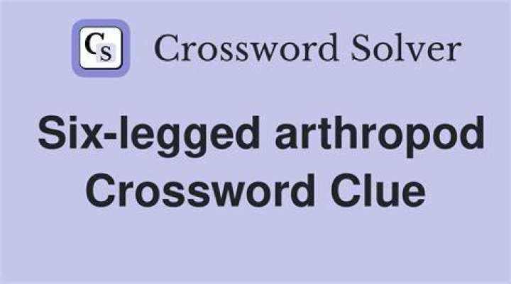 Arthropod appendages Crossword Clue