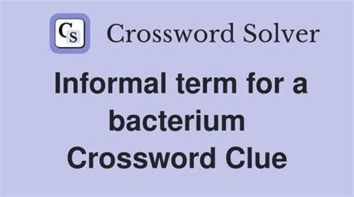 Bacterium in some raw meat Crossword Clue