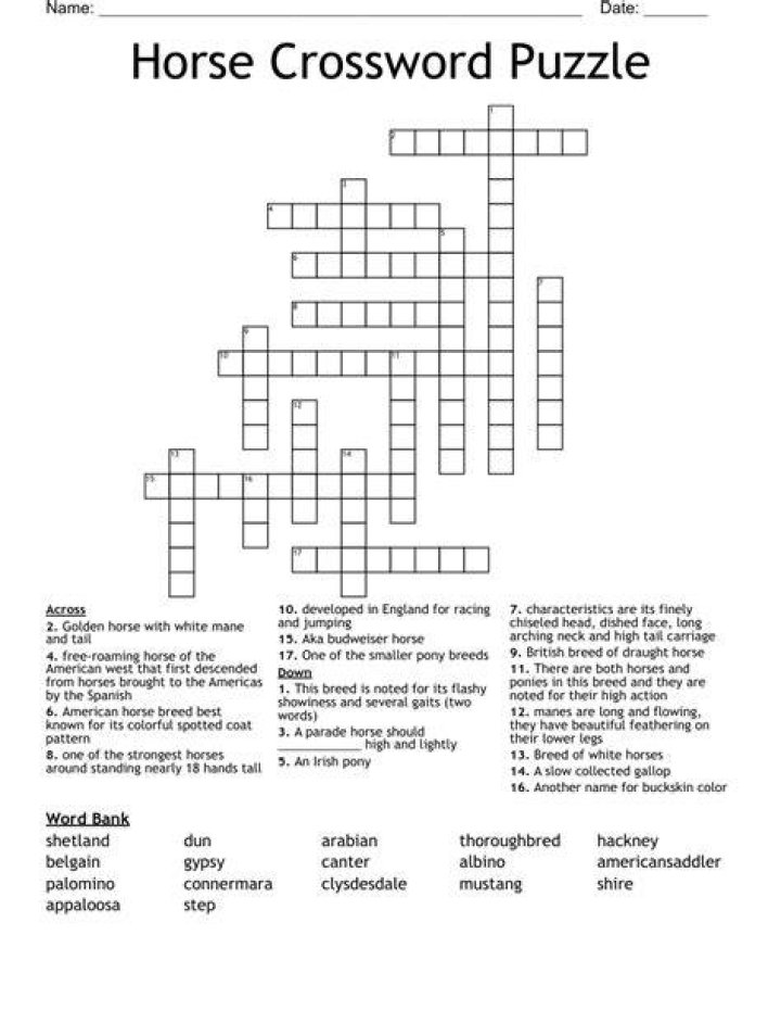 Bay ___ (certain horse) Crossword Clue