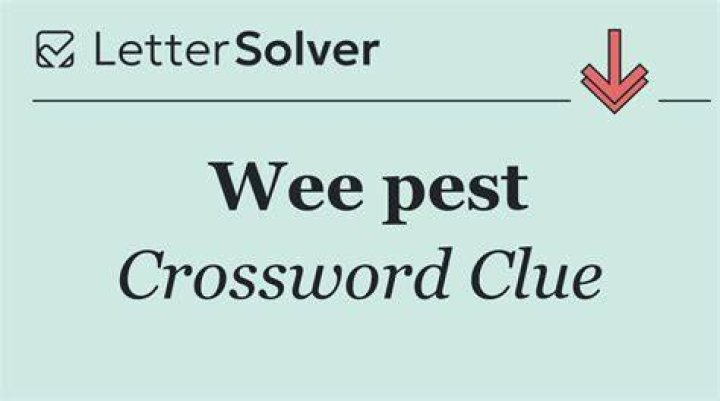 Be a pest, in a way Crossword Clue