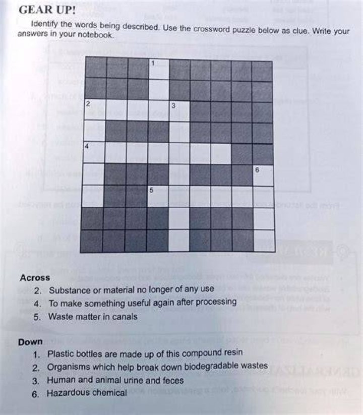 Biodegradable bag material Crossword Clue