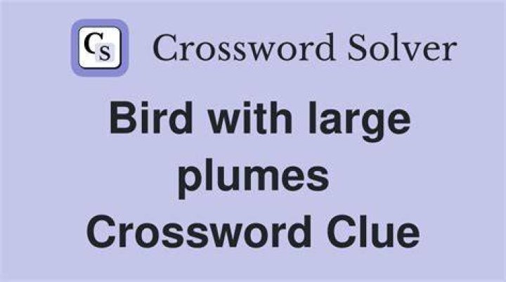 Bird known for its plumes Crossword Clue