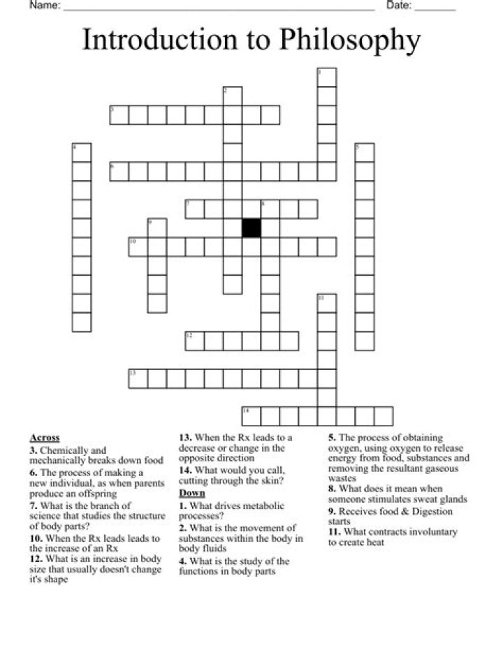 Branch of philosophy Crossword Clue