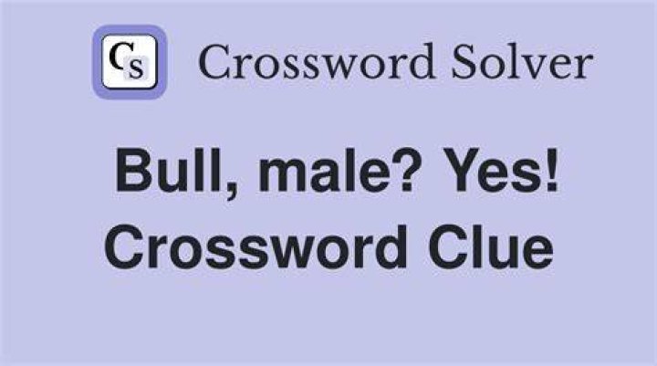 Bull, e.g. Crossword Clue