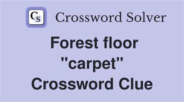 Carpet on a forest floor Crossword Clue
