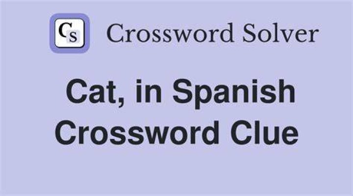 Cat: Sp. Crossword Clue