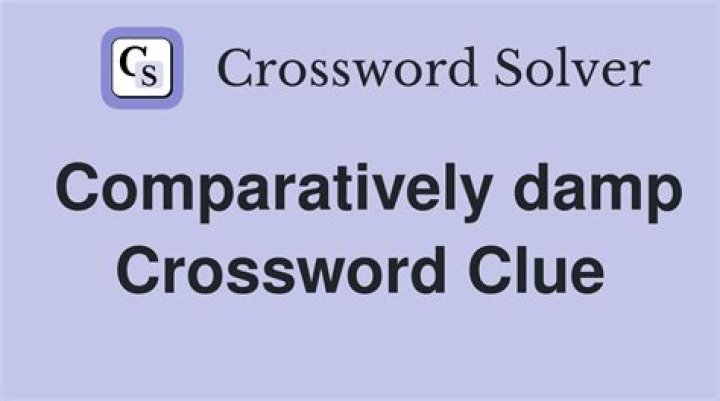 Comparatively neat Crossword Clue