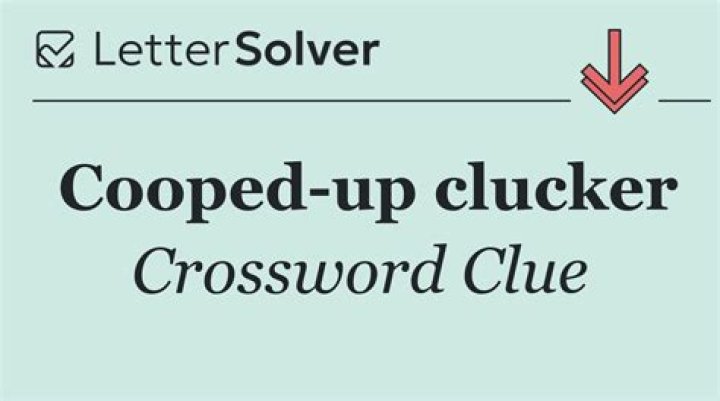 Cooped up like pigs Crossword Clue