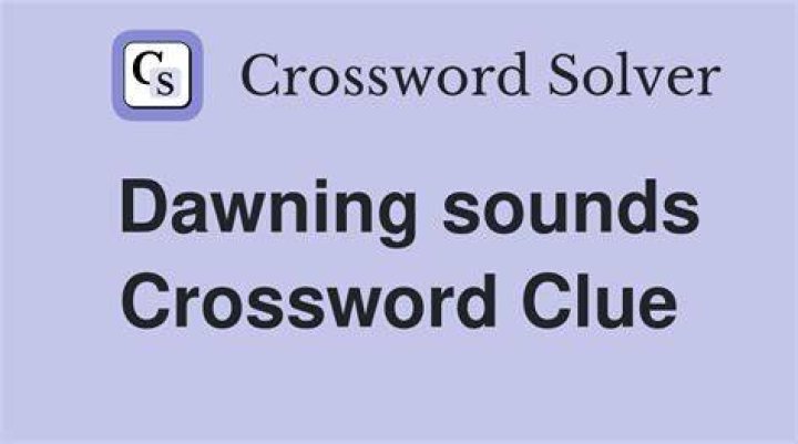 Did up Crossword Clue