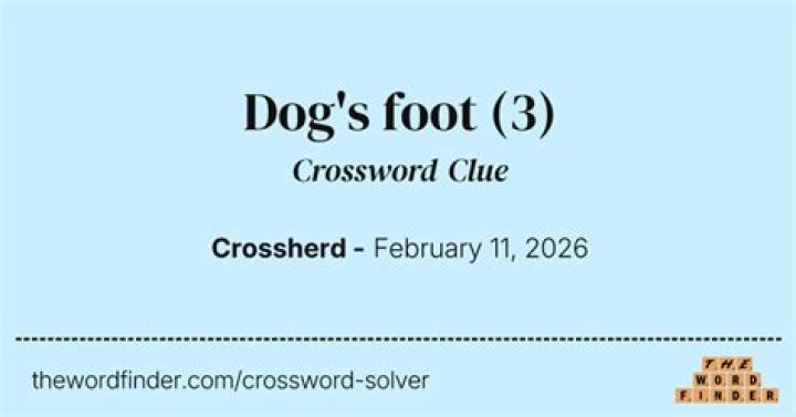 Dog’s foot Crossword Clue