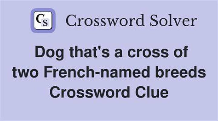 Dog that’s a cross of two French-named breeds Crossword Clue