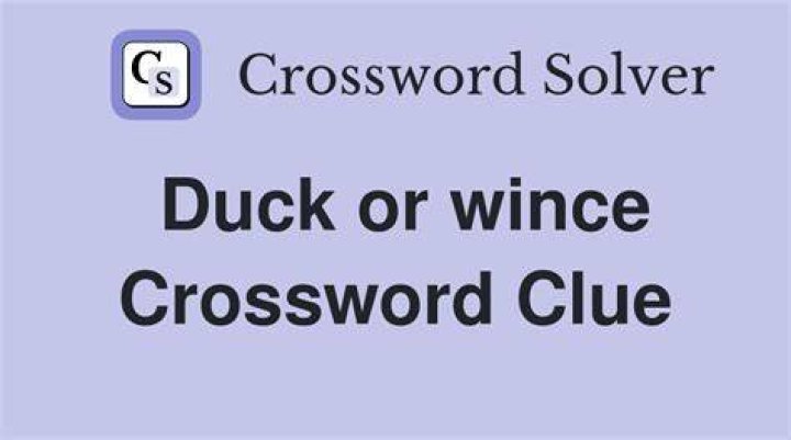 Duck or Penguin Crossword Clue