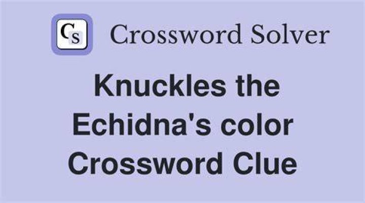 Echidna’s prey Crossword Clue