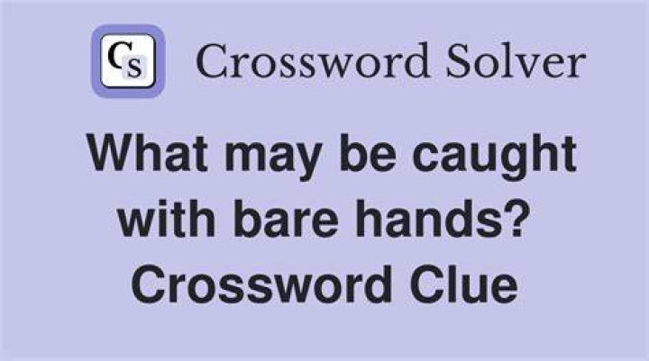 Embarrassing thing to have one’s hand caught in Crossword Clue
