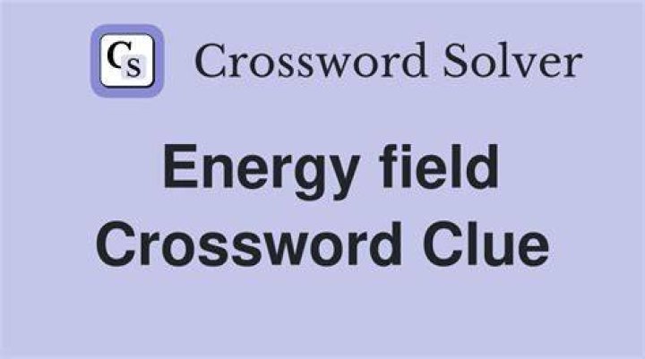 Energy field, in holistic medicine Crossword Clue