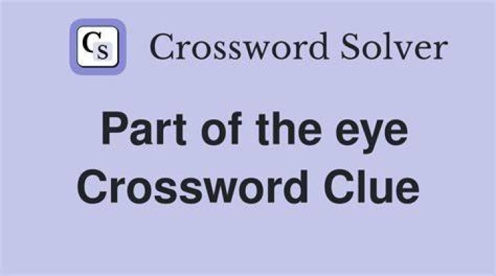 Eye lewdly Crossword Clue