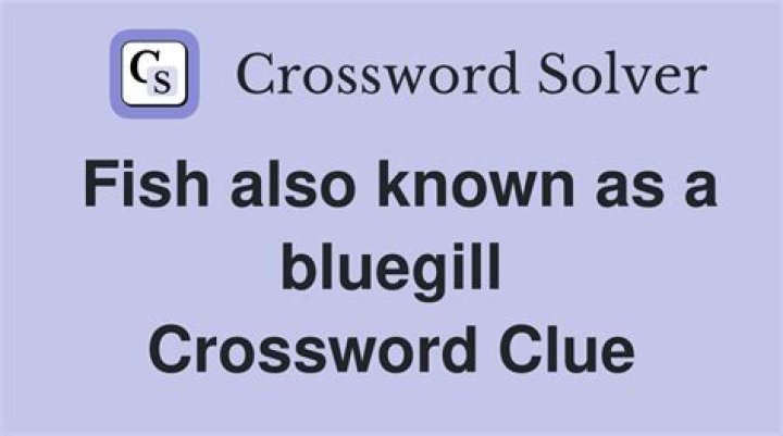 Fish also known as a bluegill Crossword Clue