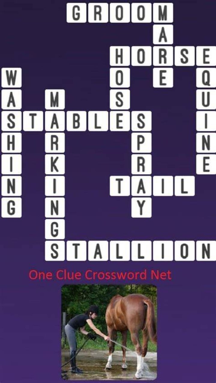 Get off one’s high horse? Crossword Clue