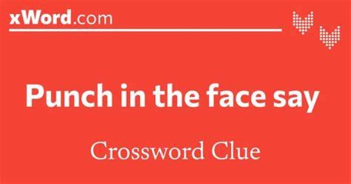 Gets ready for a punch, say Crossword Clue