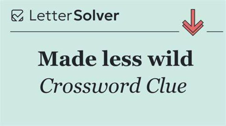 Gets wild and crazy Crossword Clue