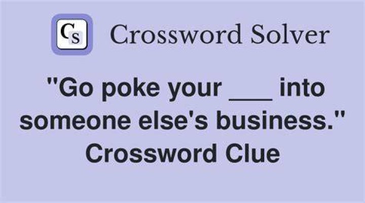 Go (into) Crossword Clue
