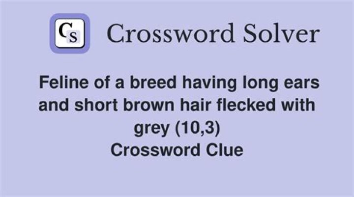 Having perked-up ears Crossword Clue