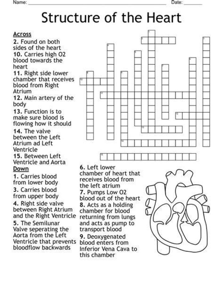 Heart chart, for short Crossword Clue
