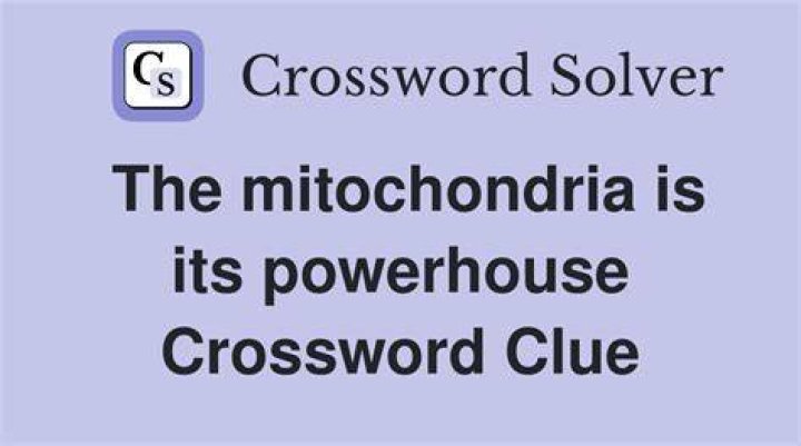 Holder of mitochondria Crossword Clue