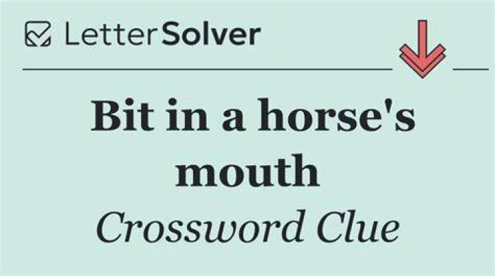 Horse’s bit Crossword Clue