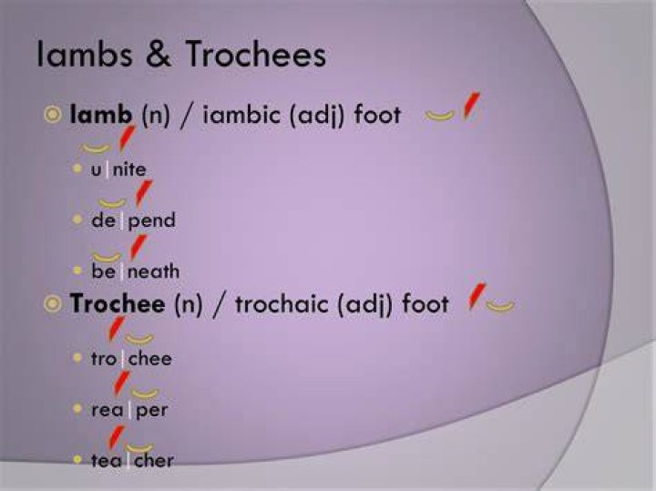Iambs and trochees Crossword Clue