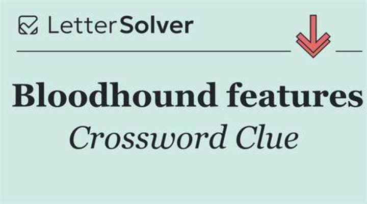 Important part of a bloodhound Crossword Clue