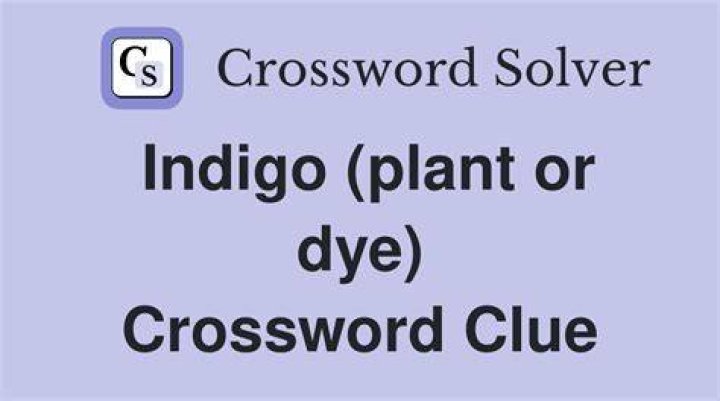 Indigo plant Crossword Clue