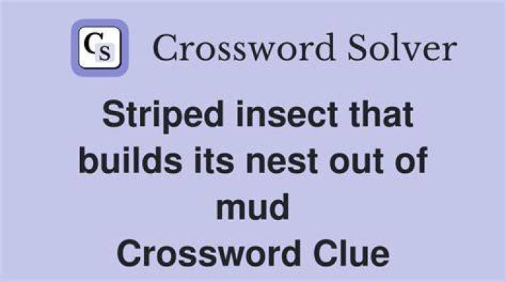 Insect that builds a paper nest Crossword Clue