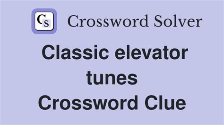 It goes back and forth on a street or up and down in an elevator shaft Crossword Clue