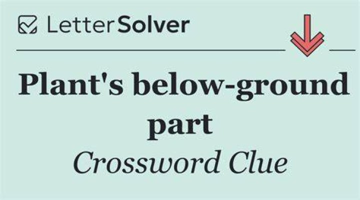 It’s below belowdecks Crossword Clue