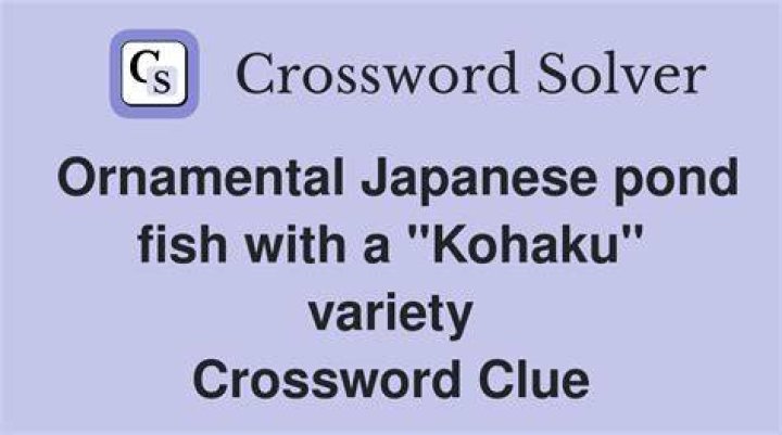 Japanese pond fish Crossword Clue