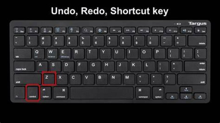Keyboard shortcut for “undo,” on a PC Crossword Clue