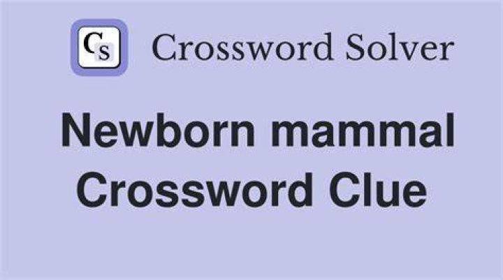 Like a newborn babe Crossword Clue