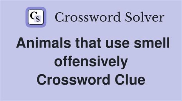 Like grass you can smell, perhaps Crossword Clue