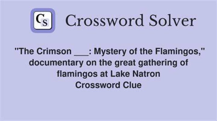 Like herons and flamingos Crossword Clue