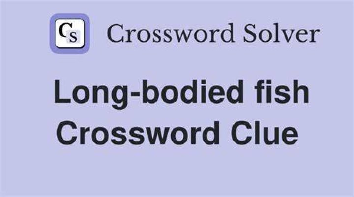 Long-bodied fish Crossword Clue