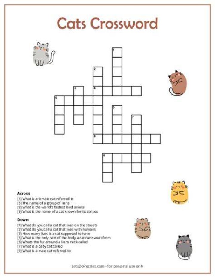 Longhair cats Crossword Clue