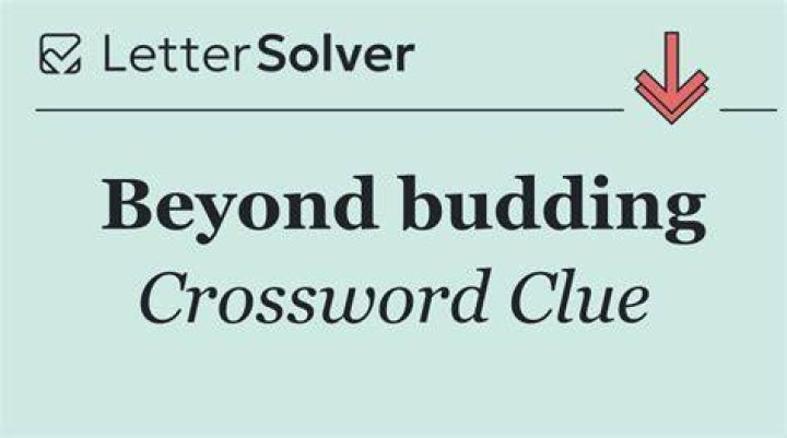 Looked beyond Crossword Clue