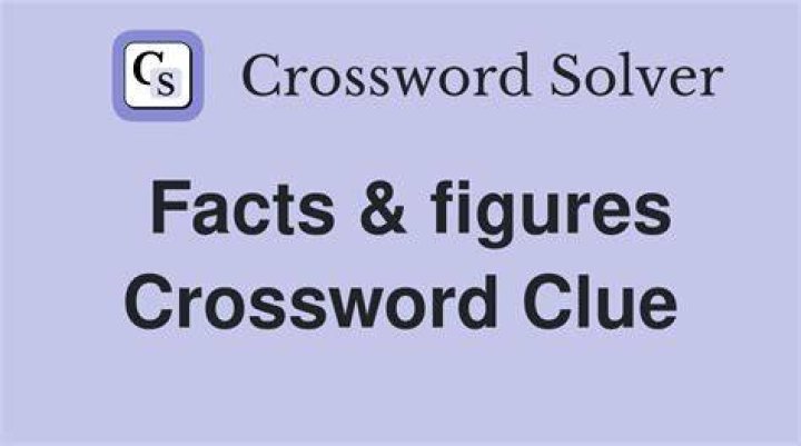 Looked for facts in figures Crossword Clue