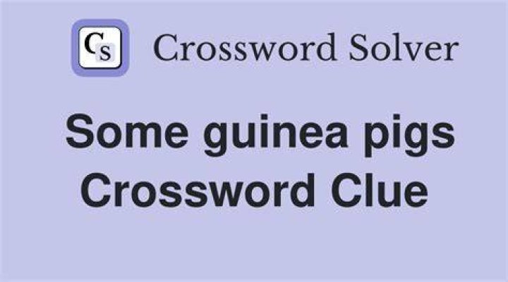 Mama pigs Crossword Clue
